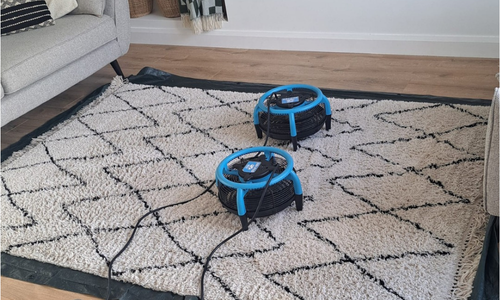 Rug cleaning Montrose