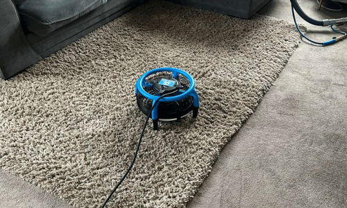 Rug cleaning St Albans