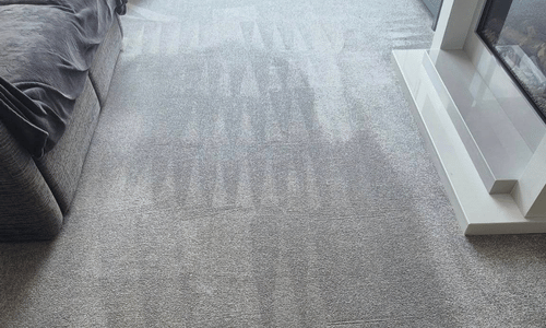 Rug cleaning in Scarborough