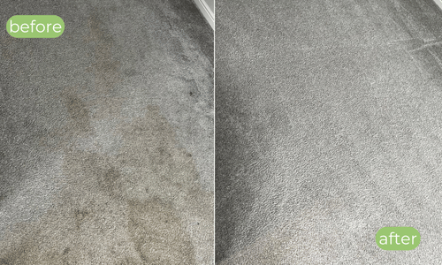 bradford carpet cleaners