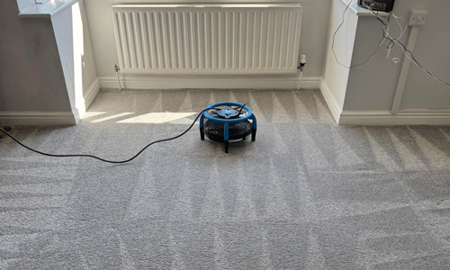 carpet cleaners darlington