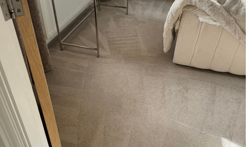 carpet cleaning camden nsw