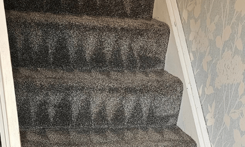 carpet cleaning linlithgow