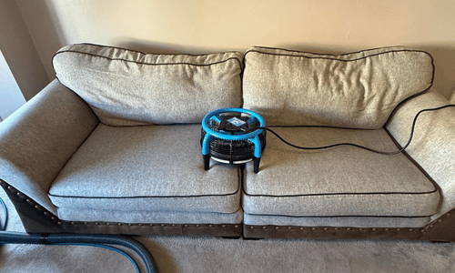 crawley carpet cleaning