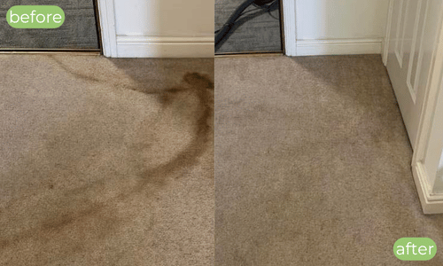 Carpet cleaning Kinross