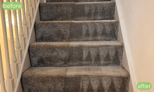 Carpet cleaning Manor Park