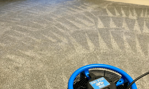 Carpet cleaning Oldham