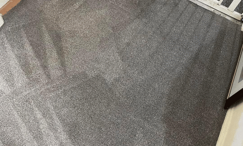Carpet cleaning Saline