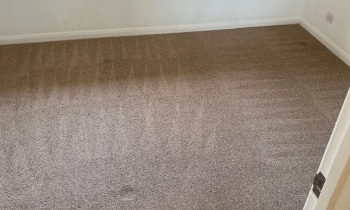 Carpet cleaning Witney