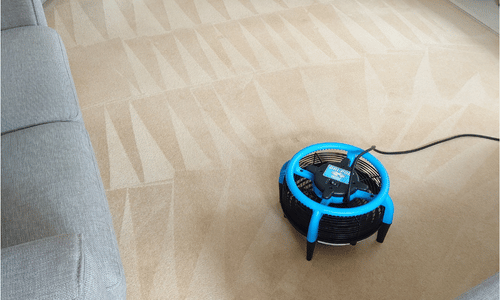 cambridge carpet cleaning