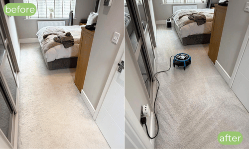 Carpet Cleaning Before and After Lenham