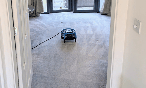 Carpet Cleaning Meopham