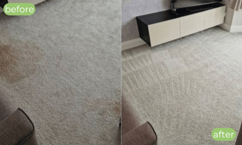 Carpet cleaner Halifax