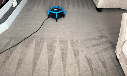 Carpet cleaner grain