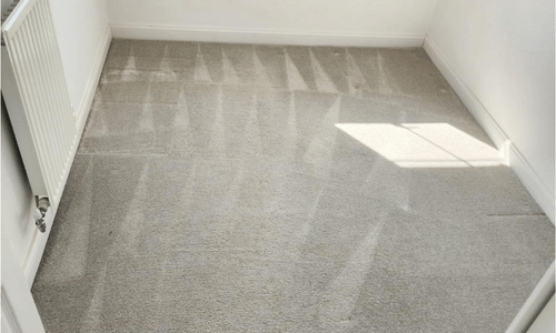 Carpet cleaner leeds