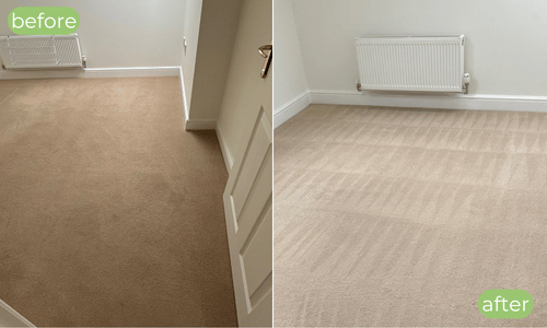 Carpet cleaner leicester