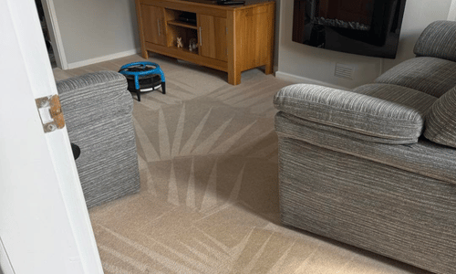 Carpet cleaner leigh