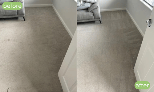 Carpet cleaner longfield