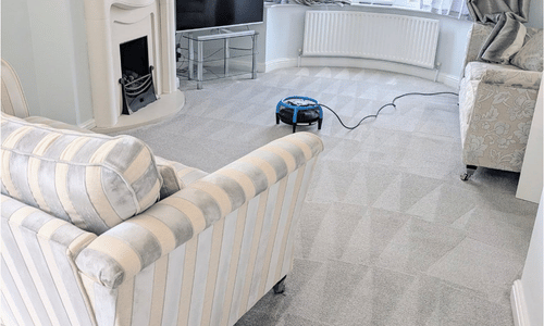 Carpet cleaner meopham