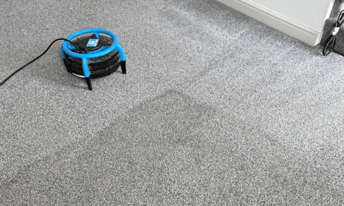 Carpet cleaning Armadale