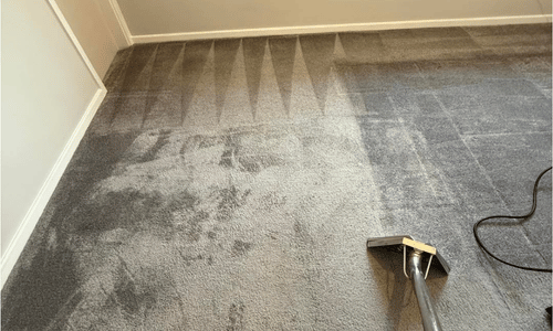 Carpet cleaning Bathgate