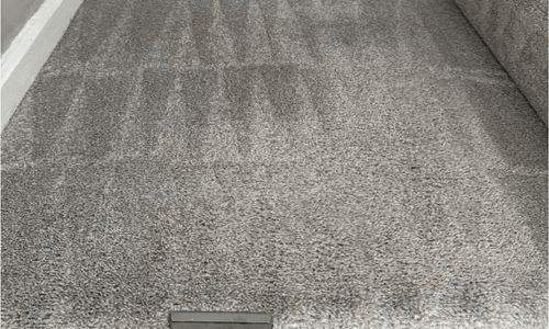 Carpet cleaning Bilston