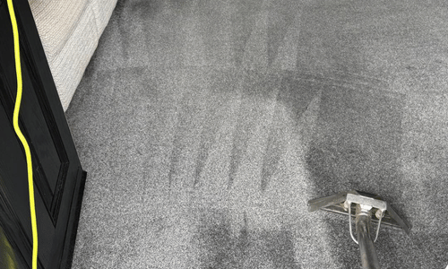 Carpet cleaning Dalkeith
