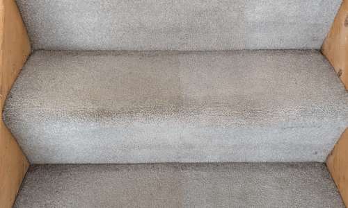 Carpet cleaning Ipswich