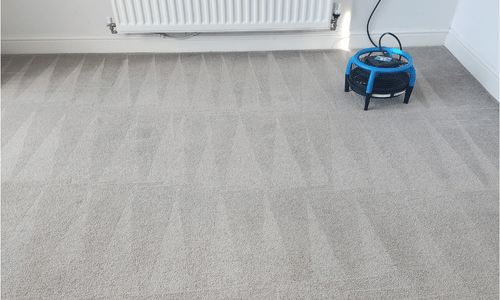 Carpet cleaning Liskeard