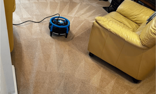 Carpet cleaning Newcastle upon Tyne
