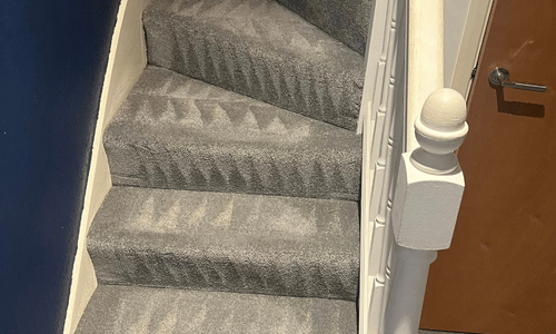 Carpet cleaning Newport