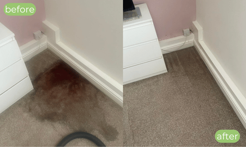 Carpet cleaning Paisley