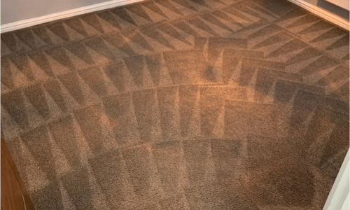 Carpet cleaning South Shields
