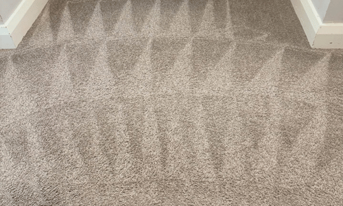 Carpet cleaning in Longfield