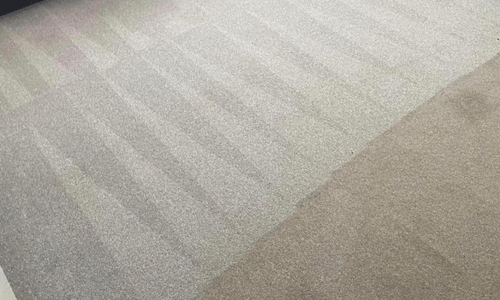 Carpet cleaning in leeds