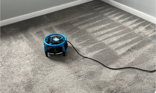 Carpet cleaning in leigh