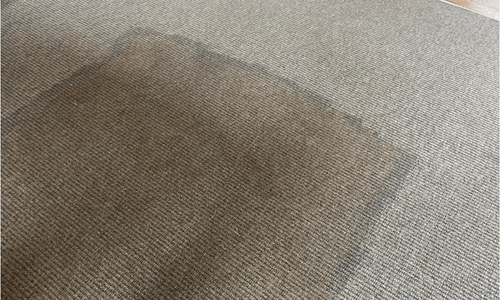 Carpet cleaning leyton