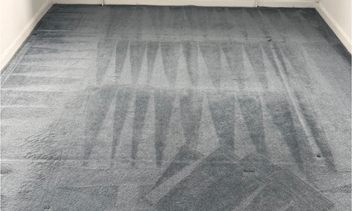 Carpet shampooing grain