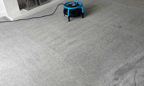 Clean Carpet Results