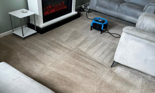 Deep Carpet Cleaning Lenham