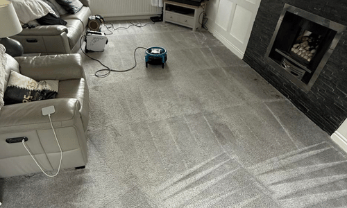 Freshly Cleaned Carpet in Lenham