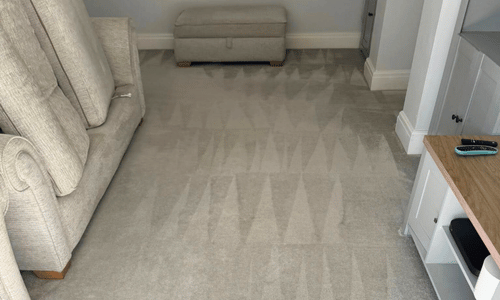 Professional Carpet Cleaning Minster
