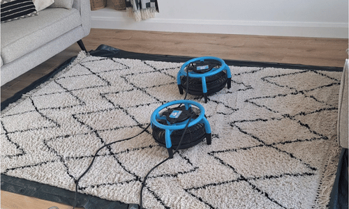Rug cleaner Rochester