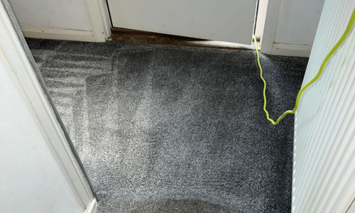 Rug cleaning Armadale