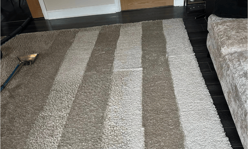 Rug cleaning Salford