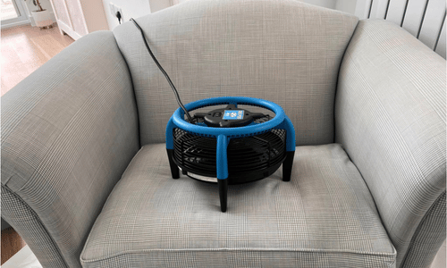 Sofa cleaning Ilford