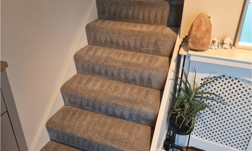 Trusted Carpet Cleaning Harrietsham