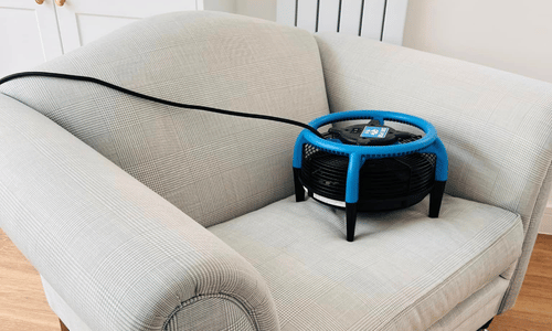 Upholstery cleaning Ripon