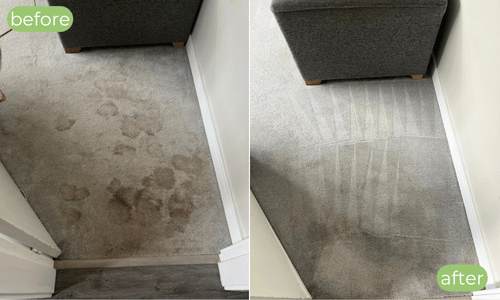 carpet cleaner gillingham kent