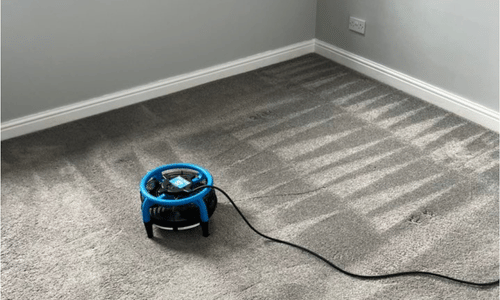 carpet cleaner gillingham